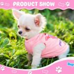 Cute Pink Dog Clothes Set for Small Dogs