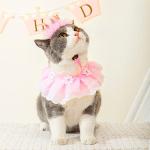 Cat and Dog Princess Costume Set with Crown