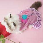 Adorable Puppy Dresses - 4 Pack for Small Dogs