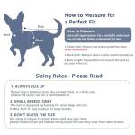 Denim Dog Jacket with Daisy Embroidery for Small Dogs