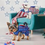 Independence Day Dog Dress - USA Flag Outfits
