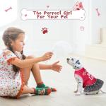 Cute 6 Pack Dress for Girl Dogs