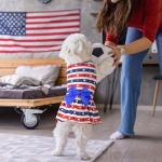 Independence Day Dog Dress - USA Flag Outfits