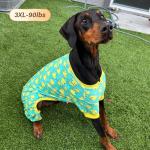 Soft Velvet Dog Pajamas with Duck Pattern