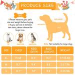 16 Cute Small Dog Clothes - 16 Styles