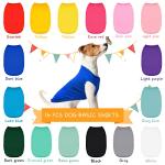 16 Cute Small Dog Clothes - 16 Styles