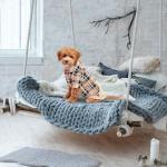 Plaid Dog Hoodie - Warm and Stylish Sweater