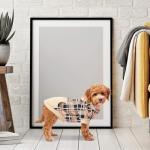 Plaid Dog Hoodie - Warm and Stylish Sweater