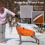 Warm Waterproof Winter Dog Coat with Harness