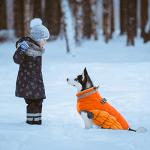 Warm Waterproof Winter Dog Coat with Harness