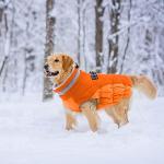 Warm Waterproof Winter Dog Coat with Harness