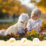 Floral Sunflower Dog Dresses for Small Pets