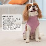 Cozy Turtleneck Dog Sweaters for Small Dogs