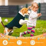 16 Cute Small Dog Clothes - 16 Styles