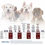 Blue Chihuahua Dog Hoodie for Stylish Warmth