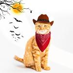Choyaxo Cowboy Costume for Dogs and Cats