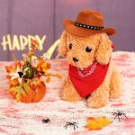 Choyaxo Cowboy Costume for Dogs and Cats