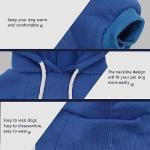 Blue Chihuahua Dog Hoodie for Stylish Warmth