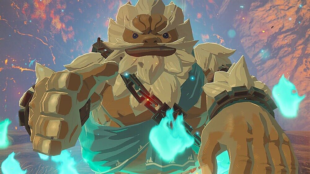 Zelda Breath of the Wild Empty Case for Switch