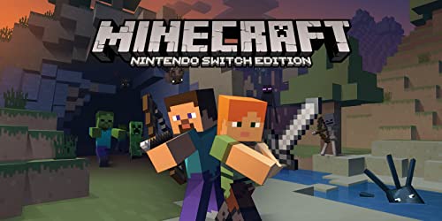 Minecraft Switch Case Only – No Game Included