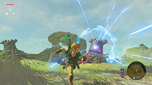 The Legend of Zelda: Breath of the Wild Code
