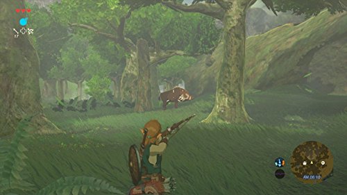 The Legend of Zelda: Breath of the Wild Code