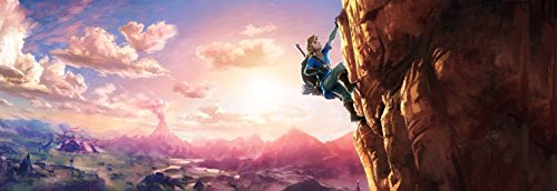 The Legend of Zelda: Breath of the Wild Code