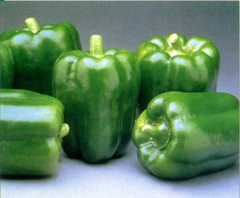 Green Bell Peppers Fresh Fruit Produce Vegetables By The Pound