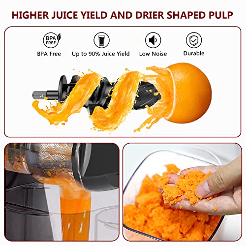 KOIOS Juicer, Masticating Slow Juicer Extractor with Reverse Function, Cold Press Juicer Machine with Quiet Motor, BPA-FREE Juicer Easy to Clean