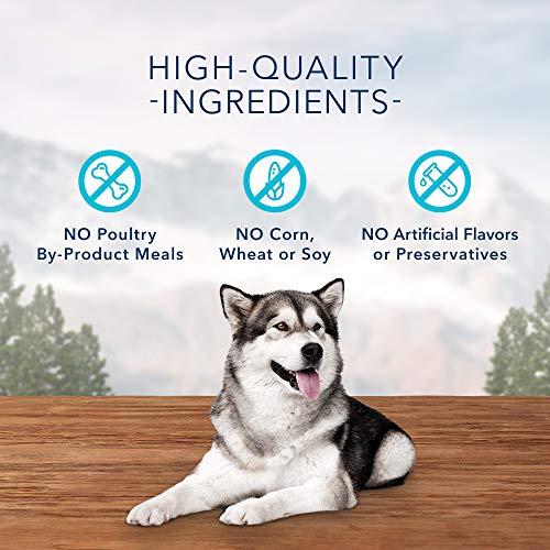 Blue Buffalo Wilderness Trail Treats High Protein Grain Free Crunchy Dog Treats Biscuits, Turkey Recipe 24-oz Bag
