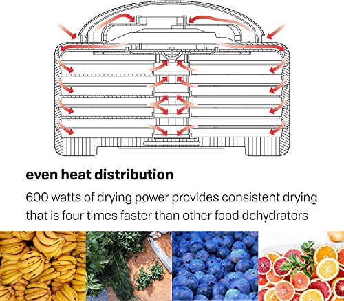Nesco LT-2SG Add-A-Tray (2-pack) and Snackmaster Pro Food Dehydrator FD-75A Bundle