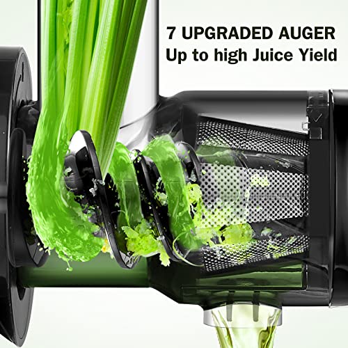 Slow Juicer,AMZCHEF Masticating Juicer Machines with Reverse Function, Cold Press Juicer with Brush, Recipes for High Nutrient Fruits and Vegetables, Green(Updated)