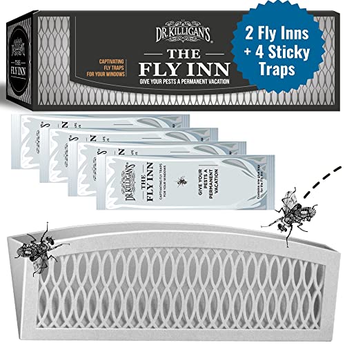 Dr. Killigan's The Fly Inn | Window Fly Traps | Sticky Fly Strip | Indoor Insect Trap | Catches and Hides Bugs | Better Than Fly Paper or Ribbon | Get Rid of Flies | (2+4, Gray)