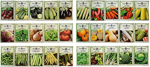 10 Premium Vegetable Seeds Blind Bag - Deluxe Garden Choices for Premium Gardening! - May Include Herbs! -Made in The USA (10 Premium Veggie Seed Blind Bag)