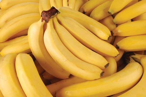 Fresh Organic Bananas Approximately 3 Lbs 1 Bunch of 6-9 Bananas (Fresh Premium Organic Bananas 3 Lb 1 Bunch)