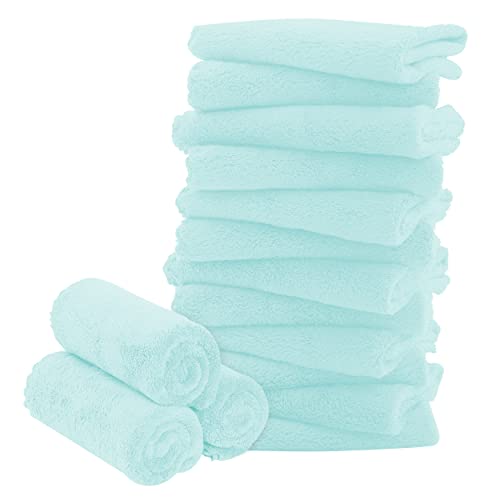 16 Pack Baby Washcloths - Luxury Coral Fleece - Extra Absorbent and Soft Wash Clothes for Newborns, Infants and Toddlers - Suitable for Sensitive Skin and New Born - Baby Shower - Frozen Blue