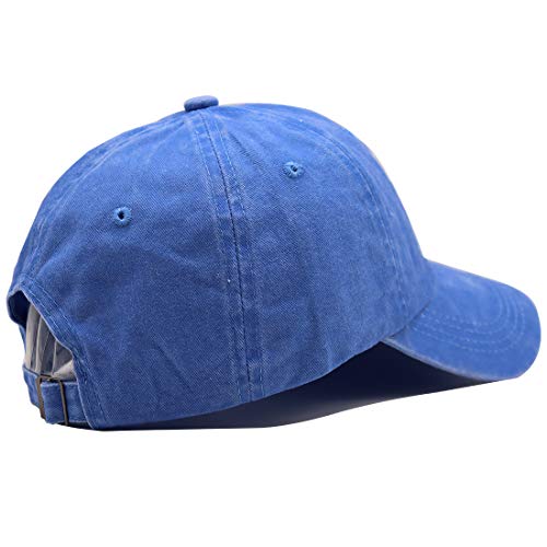 HHNLB Unisex Camping Hair Don t Care 1 Vintage Jeans Baseball Cap Classic Cotton Dad Hat Adjustable Plain Cap (Embroidered Blue 2, One Size)