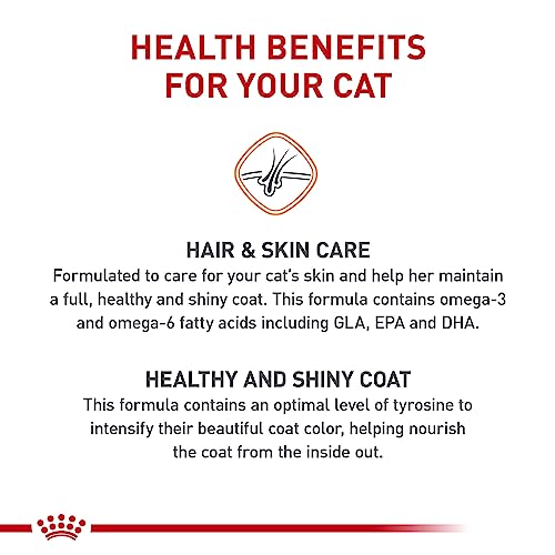 Royal Canin Hair & Skin Care Dry Cat Food, 7 lb. bag