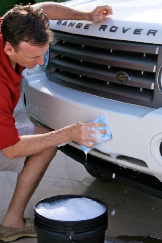 Shurhold 282 Bug/Tar Remover Sponge