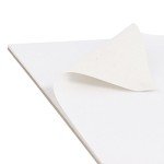 U.S. Art Supply 10-Sheet Acid-Free Canvas Pads