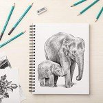 Norberg & Linden Sketch Pad 2 Pack - 9x12