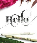 Sakura Pigma Micron Fineliner Pens - 6 Pack