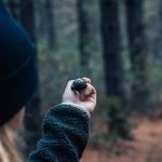 Ball Compass and Thermometer Carabiner for Adventures