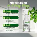 Peppermint Oil Rodent Repellent Spray - 16oz