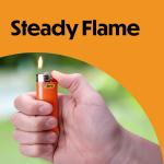 BIC Classic Lighter 5-Pack, Assorted Colors