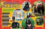 Pandas: Latest Facts with Nat Geo Explorer Mark