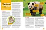 Pandas: Latest Facts with Nat Geo Explorer Mark