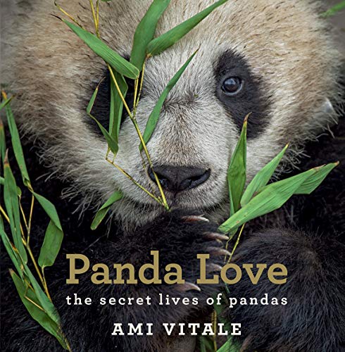 Panda Love: Discover the Secret Lives