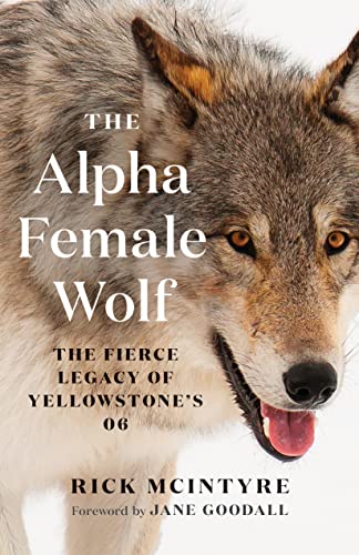 Yellowstone's 06: The Fierce Alpha Female Wolf