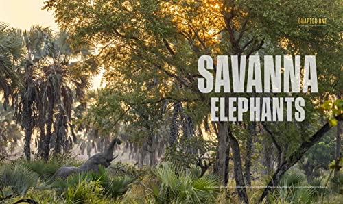 Elephant Secrets Unveiled